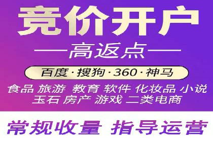 解析SEM竞价代运营公司的技术实力与服务优势